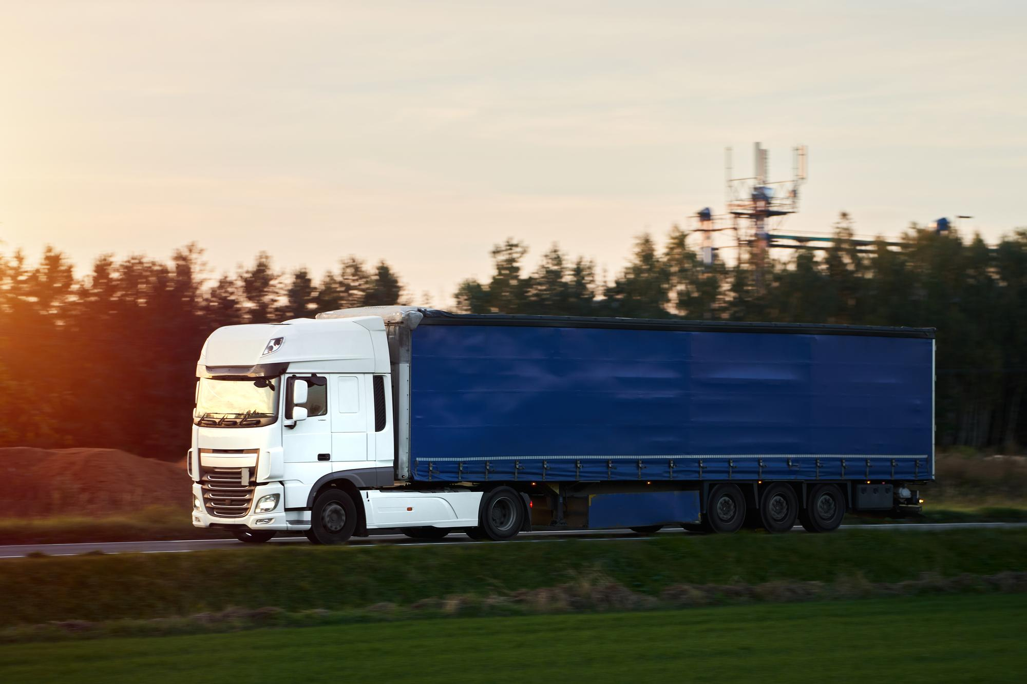 Zestaw drogowy Navico, ciągnik siodłowy z naczepą.